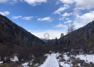 公主设计师大赛